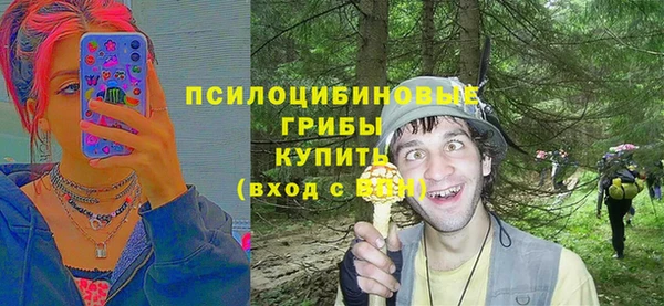 spice Баксан