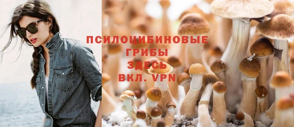 spice Баксан