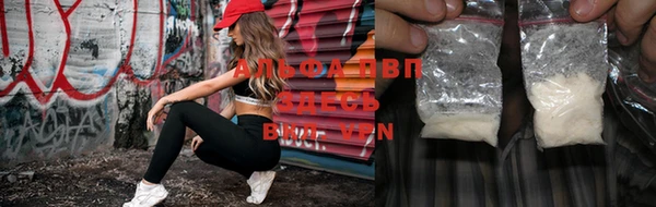 spice Баксан