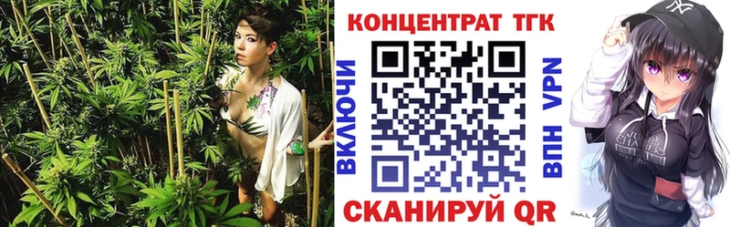 как найти   Курчатов  ТГК концентрат 