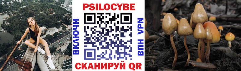 Галлюциногенные грибы GOLDEN TEACHER Курчатов